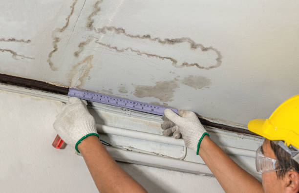 24/7 Emergency Structural Drying experts in Ravenna, MI