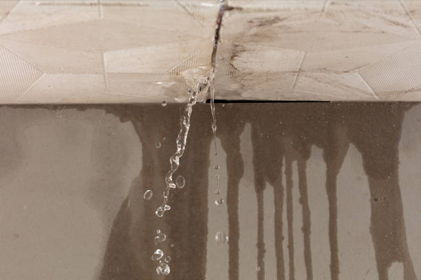 Professional Structural Drying technician working in Ravenna, MI